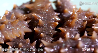 海參進補從娃娃抓起，兒童吃海參的好處！