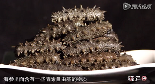 孝敬父母，為何首選海參？